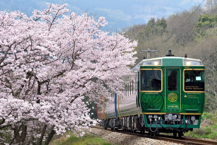 日本花小錢奢遊四國的鐵道旅行 15