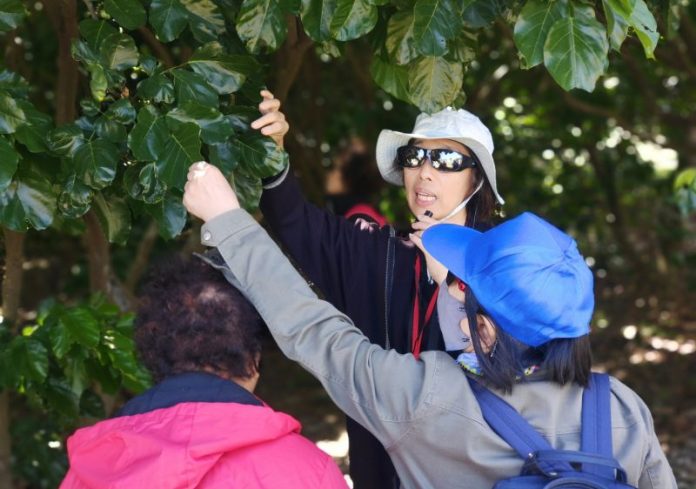 感官漫遊新美館 生態音樂市集622登場