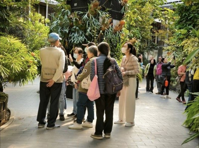 典藏植物園園藝療育活動周周精彩