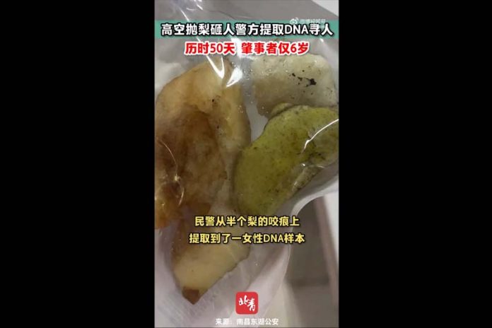 圖／擷取自北京青年報微博