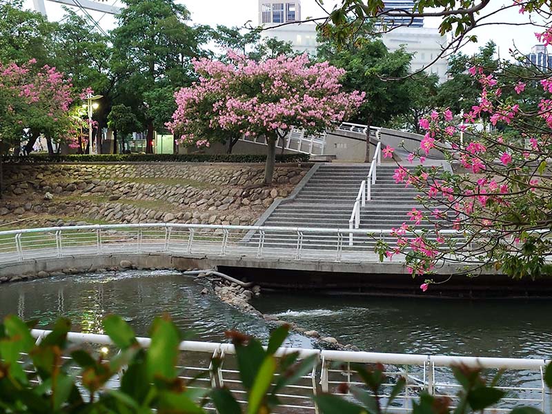 圖／高雄公園處