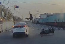 圖／翻攝自網路