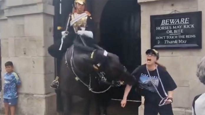 英國《每日郵報》報道一名女遊客在倫敦皇家騎兵衛隊博物館與衛隊合照時，被馬匹咬傷，女遊客表情痛苦。圖／x@zakisolja）
