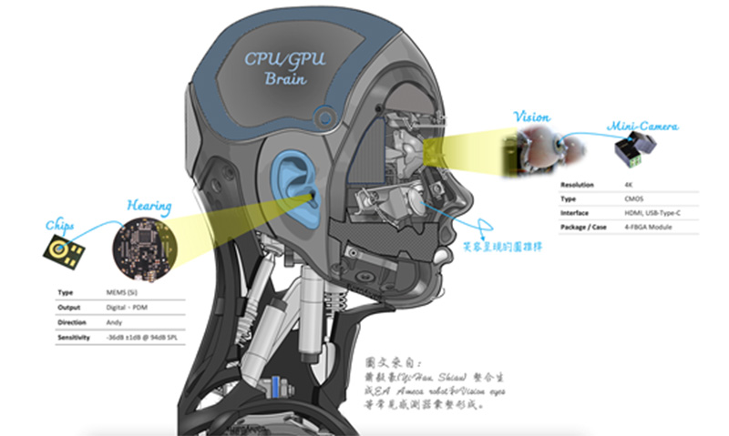 視覺感知與聽覺感知。來自蕭毅豪(Yi-Hau, Shiau) 整合生成EA Ameca robot和Vision eyes等常見感測器彙整形成。