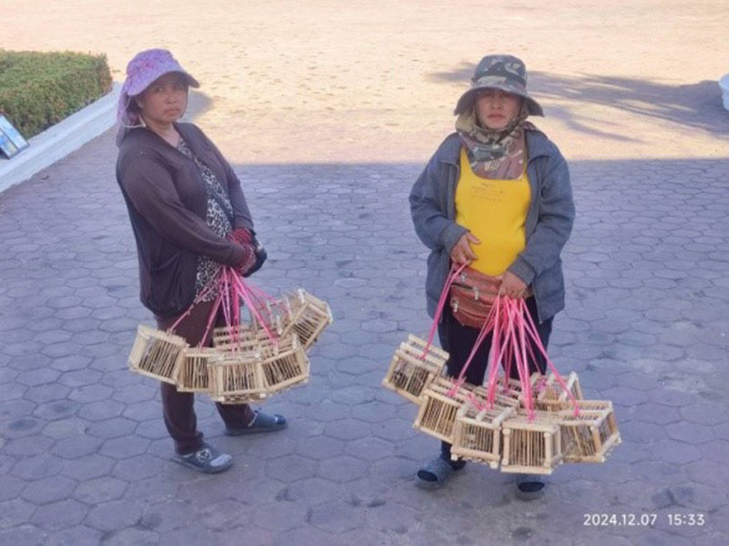 寮國婦女提著小鳥籠兜售，原來是給人買來放生用的(楊正寬)