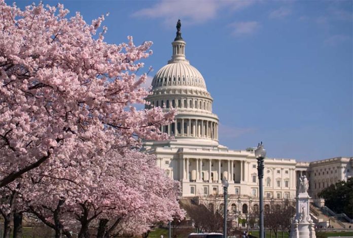 Washington, D.C. 圖／摘自 americacomesalive.com/cherry-trees-brought-to-d-c-by-helen-taft