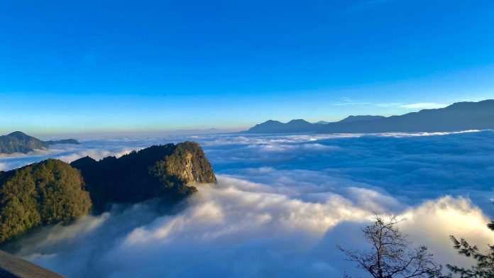 壯麗阿里山躍上國際　榮登《紐約時報》全球必訪52大景點榜單