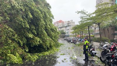 強颱凱米橫掃 樹倒勾下電線 內湖警馬拉松救災疏導
