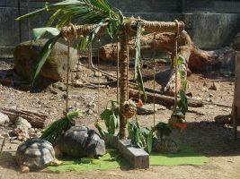 北高動物園攜手合作 製作器具供動物豐富生活