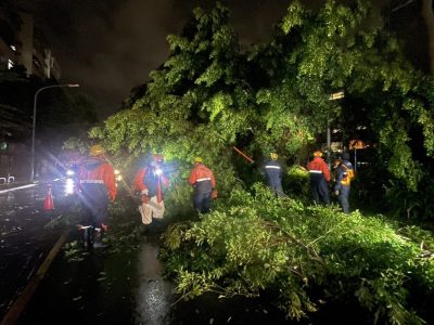 凱米肆虐 工務局今啟動樹木災損聯合救災機制
