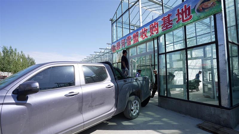 打包好的新疆雪蟹從基地冷鏈直運到機場。圖／引自極目新聞