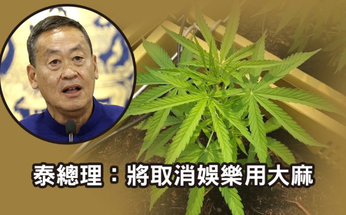 泰總理：將取消娛樂用大麻